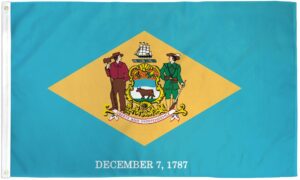 Delaware 3x5 State Flag