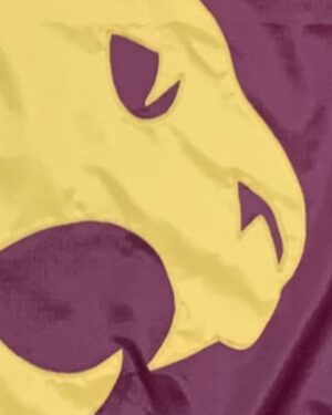 Texas State Bobcat Logo 3x5 Applique Flag