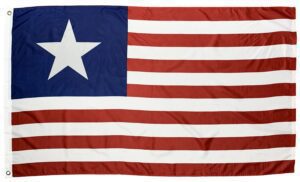 1st Texas Navy 3x5 Flag - Printed