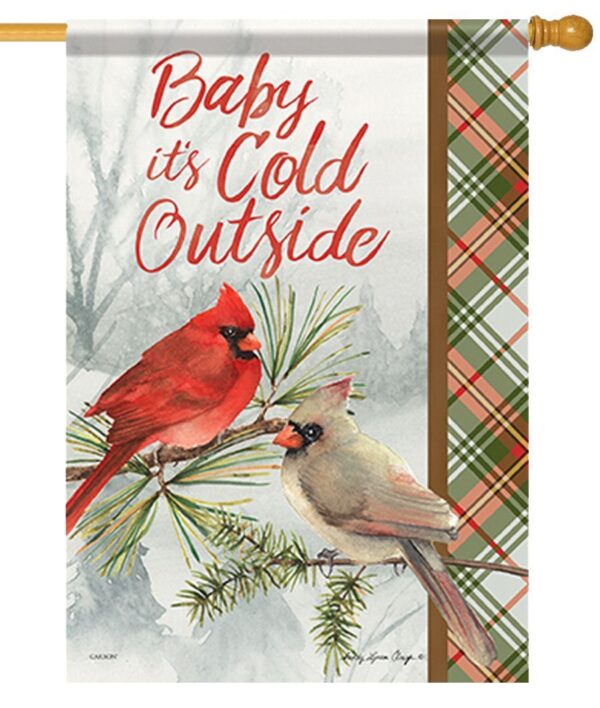 Baby it's Cold Outside House Flag