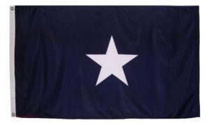 Bonnie Blue 3x5 Flag Printed