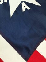 Crockett's Alamo Flag 3x5 2-Ply Polyester Detail