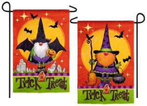 Gnomes in Costume 2-Sided Suede Reflections Garden Flag