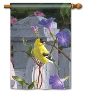 Morning Glory Finch House Flag