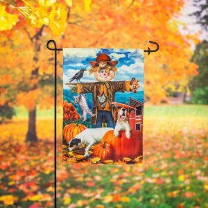 Scarecrow and Friends Suede Reflections Garden Flag Display