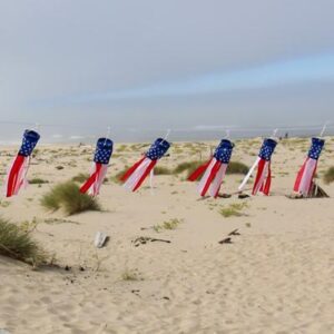 Stars and Stripes String of Baby Windsocks