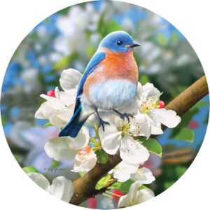 Stunning Bluebird Accent Magnet