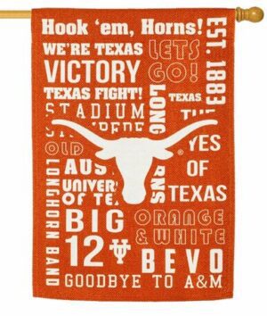 Texas Longhorn 2 Sided Suede Reflections House Flag Side 1