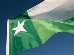 UNT Green Texas 3x5 Applique Flag