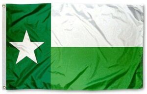 UNT Green Texas 3x5 Flag