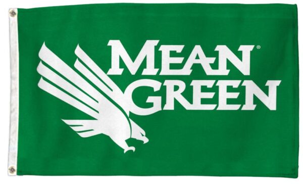 UNT Mean Green Eagle Logo 3x5 Flag