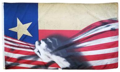 USA Texas Reveal 3x5 Flag
