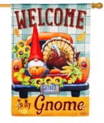 Welcome to my Gnome Suede Reflections House Flag