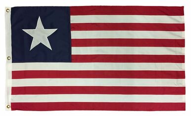 1st Texas Navy Flag 3x5 2-Ply Polyester