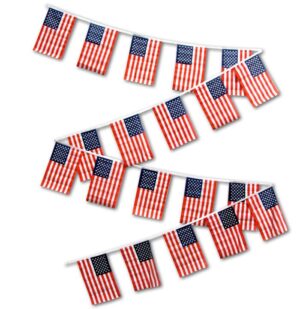 30ft American Flag String
