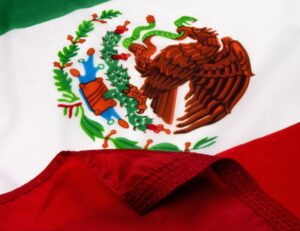 Mexico Sewn Nylon Flags - Made in the USA Detail 1
