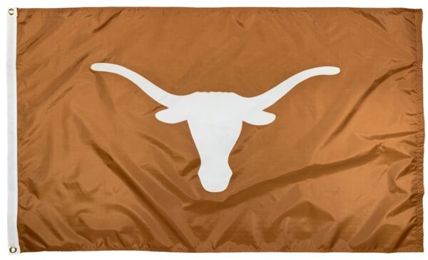 Texas Longhorns Applique Flags