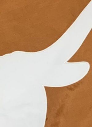 Texas Longhorns Applique Flags Detail