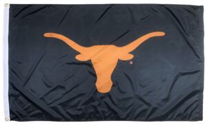 Texas Longhorns Black 3x5 Applique Flag
