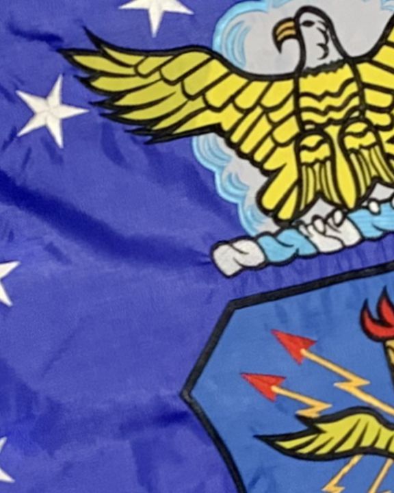 3x5 Air Force Grigio Grigio Con Ali Blu 3'x5' Doppio Lato 75D - Foto 3