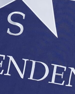 Texas Independence Flags - 2-Ply Polyester Detail 2