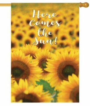 Here Comes the Sun Flowers House Flag