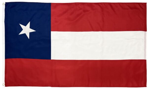 5th Texas Infantry Regiment 3x5 Flag
