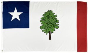 Mississippi Republic 3x5 Flag