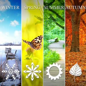 Seasons House Flags