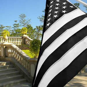 Political Flags